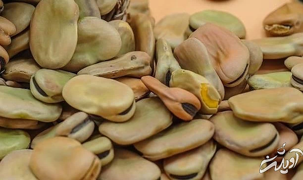 روش صحیح پخت باقلا خشک پختن باقلا خشک